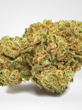 greenhouse-amnesia