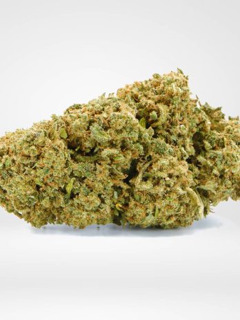 Greenhouse – Gorilla Glue