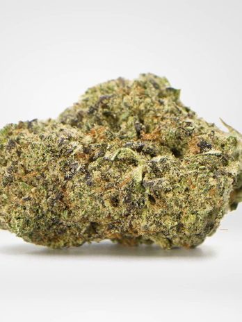 Indoor-Cookies